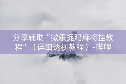 分享辅助“微乐捉鸡麻将挂教程”（详细透视教程）-哔哩哔哩