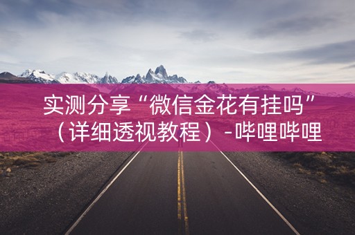 实测分享“微信金花有挂吗”（详细透视教程）-哔哩哔哩