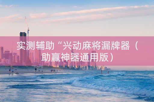 实测辅助“兴动麻将漏牌器（助赢神器通用版）