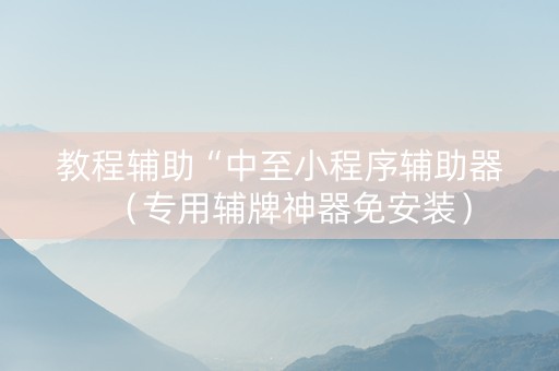 教程辅助“中至小程序辅助器（专用辅牌神器免安装）