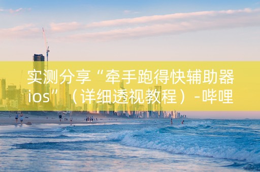 实测分享“牵手跑得快辅助器ios”（详细透视教程）-哔哩哔哩