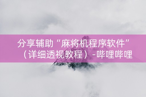 分享辅助“麻将机程序软件”（详细透视教程）-哔哩哔哩