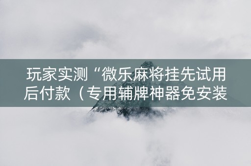 玩家实测“微乐麻将挂先试用后付款（专用辅牌神器免安装）