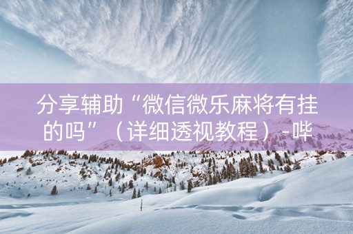 分享辅助“微信微乐麻将有挂的吗”（详细透视教程）-哔哩哔哩