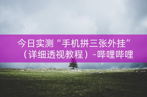 今日实测“手机拼三张外挂”（详细透视教程）-哔哩哔哩