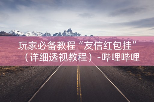 玩家必备教程“友信红包挂”（详细透视教程）-哔哩哔哩