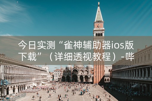 今日实测“雀神辅助器ios版下载”（详细透视教程）-哔哩哔哩