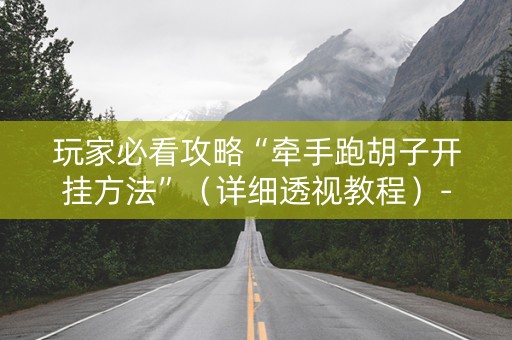 玩家必看攻略“牵手跑胡子开挂方法”（详细透视教程）-哔哩哔哩