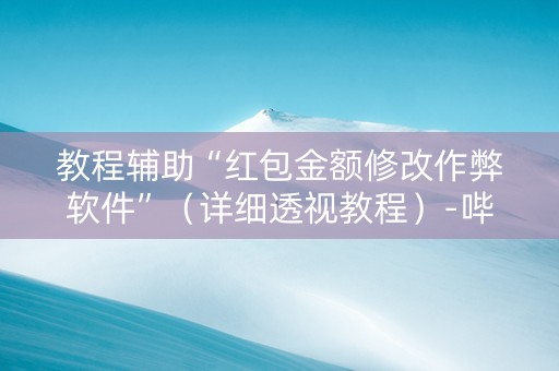 教程辅助“红包金额修改作弊软件”（详细透视教程）-哔哩哔哩