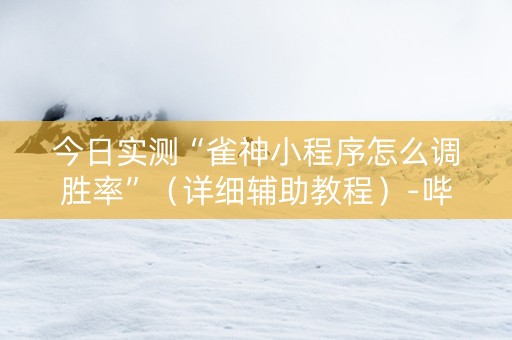 今日实测“雀神小程序怎么调胜率”（详细辅助教程）-哔哩哔哩
