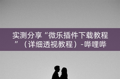 实测分享“微乐插件下载教程”（详细透视教程）-哔哩哔哩