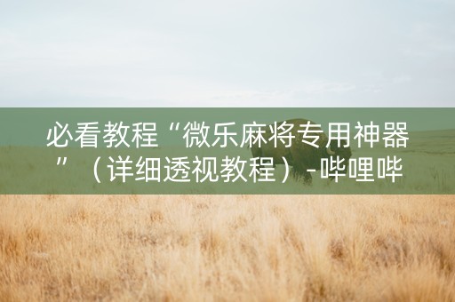 必看教程“微乐麻将专用神器”（详细透视教程）-哔哩哔哩