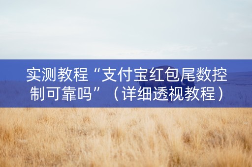 实测教程“支付宝红包尾数控制可靠吗”（详细透视教程）-哔哩哔哩