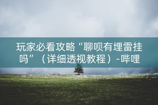 玩家必看攻略“聊呗有埋雷挂吗”（详细透视教程）-哔哩哔哩