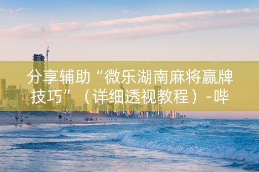 分享辅助“微乐湖南麻将赢牌技巧”（详细透视教程）-哔哩哔哩