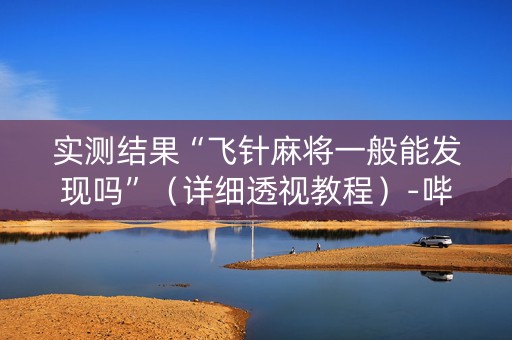 实测结果“飞针麻将一般能发现吗”（详细透视教程）-哔哩哔哩