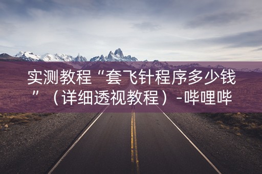 实测教程“套飞针程序多少钱”（详细透视教程）-哔哩哔哩