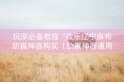 玩家必备教程“微乐辽宁麻将助赢神器购买（助赢神器通用版）