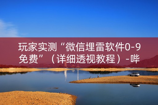 玩家实测“微信埋雷软件0-9免费”（详细透视教程）-哔哩哔哩