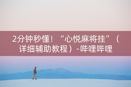 2分钟秒懂！“心悦麻将挂”（详细辅助教程）-哔哩哔哩