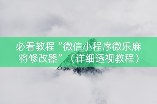 必看教程“微信小程序微乐麻将修改器”（详细透视教程）-哔哩哔哩