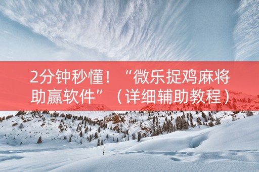 2分钟秒懂！“微乐捉鸡麻将助赢软件”（详细辅助教程）-哔哩哔哩