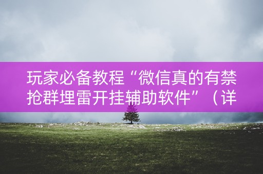 玩家必备教程“微信真的有禁抢群埋雷开挂辅助软件”（详细透视教程）-哔哩哔哩