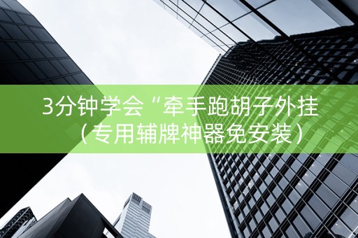 3分钟学会“牵手跑胡子外挂（专用辅牌神器免安装）