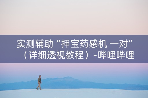 实测辅助“押宝药感机 一对”（详细透视教程）-哔哩哔哩