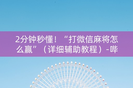 2分钟秒懂！“打微信麻将怎么赢”（详细辅助教程）-哔哩哔哩