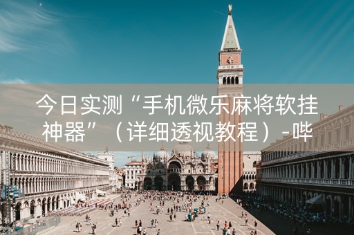 今日实测“手机微乐麻将软挂神器”（详细透视教程）-哔哩哔哩