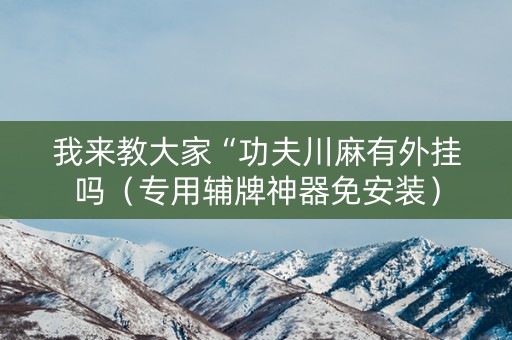 我来教大家“功夫川麻有外挂吗（专用辅牌神器免安装）