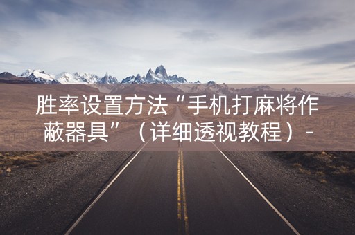 胜率设置方法“手机打麻将作蔽器具”（详细透视教程）-哔哩哔哩