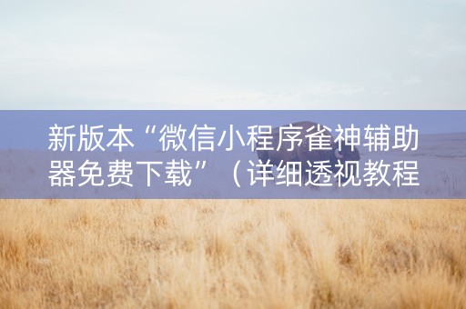 新版本“微信小程序雀神辅助器免费下载”（详细透视教程）-哔哩哔哩
