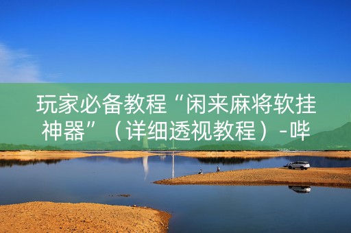 玩家必备教程“闲来麻将软挂神器”（详细透视教程）-哔哩哔哩