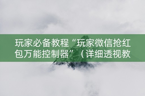 玩家必备教程“玩家微信抢红包万能控制器”（详细透视教程）-哔哩哔哩