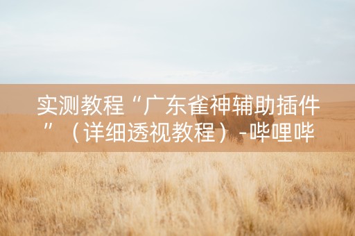 实测教程“广东雀神辅助插件”（详细透视教程）-哔哩哔哩