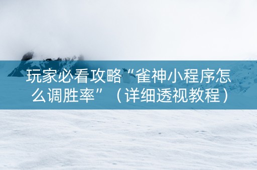 玩家必看攻略“雀神小程序怎么调胜率”（详细透视教程）-哔哩哔哩