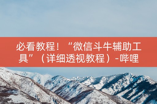 必看教程！“微信斗牛辅助工具”（详细透视教程）-哔哩哔哩