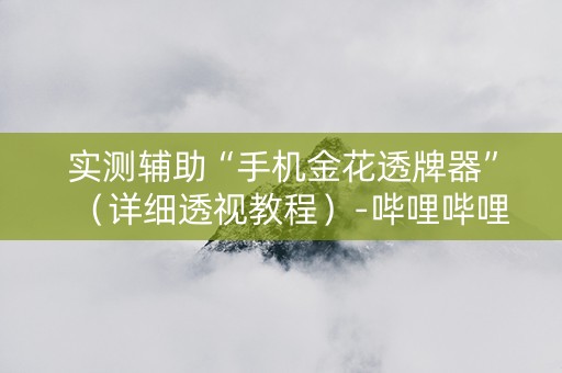 实测辅助“手机金花透牌器”（详细透视教程）-哔哩哔哩