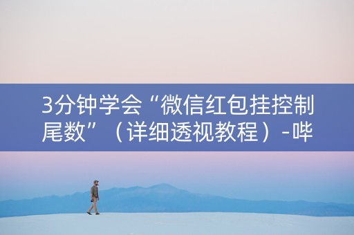 3分钟学会“微信红包挂控制尾数”（详细透视教程）-哔哩哔哩
