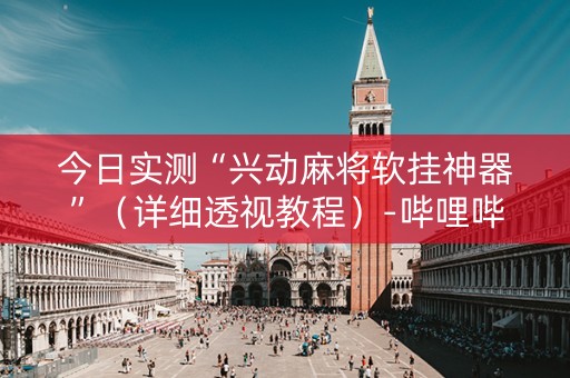 今日实测“兴动麻将软挂神器”（详细透视教程）-哔哩哔哩