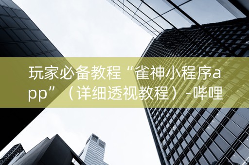 玩家必备教程“雀神小程序app”（详细透视教程）-哔哩哔哩