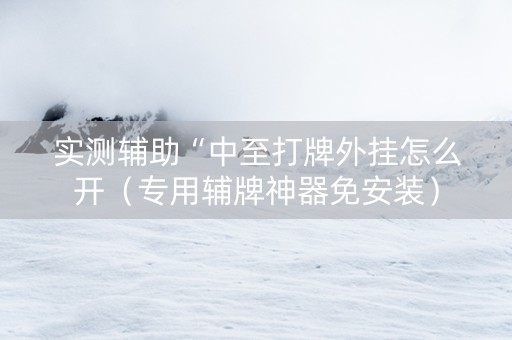 实测辅助“中至打牌外挂怎么开（专用辅牌神器免安装）
