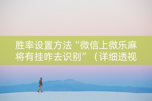 胜率设置方法“微信上微乐麻将有挂咋去识别”（详细透视教程）-哔哩哔哩
