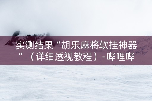 实测结果“胡乐麻将软挂神器”（详细透视教程）-哔哩哔哩