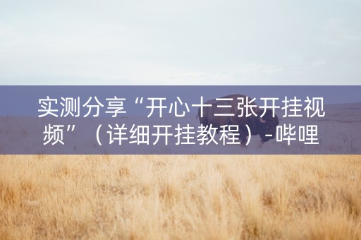 实测分享“开心十三张开挂视频”（详细开挂教程）-哔哩哔哩
