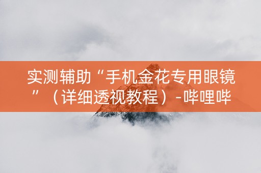 实测辅助“手机金花专用眼镜”（详细透视教程）-哔哩哔哩