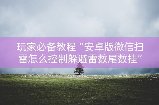 玩家必备教程“安卓版微信扫雷怎么控制躲避雷数尾数挂”（详细透视教程）-哔哩哔哩