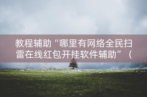 教程辅助“哪里有网络全民扫雷在线红包开挂软件辅助”（详细透视教程）-哔哩哔哩